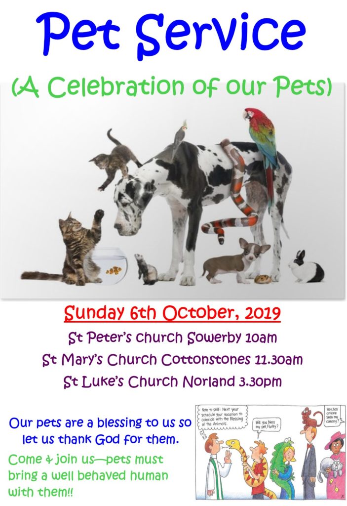 Pet Services poster 2019